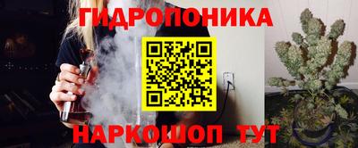 индика Кинель