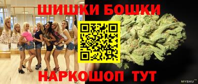 индика Кинель