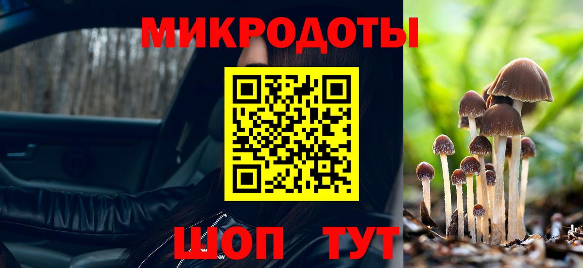 Псилоцибиновые грибы GOLDEN TEACHER Клин